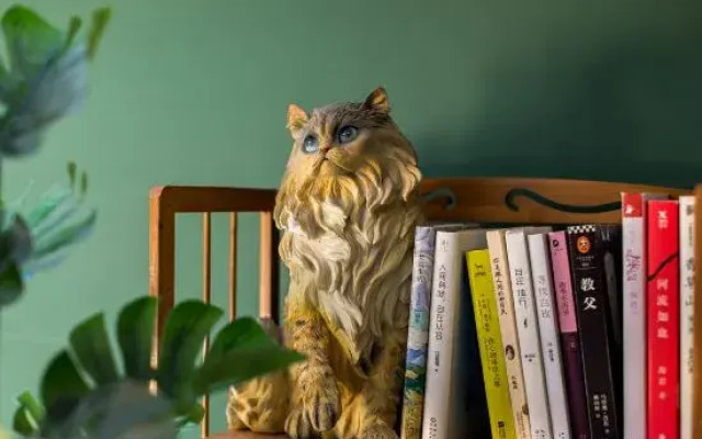 Shanghai Seven Cats Homestay