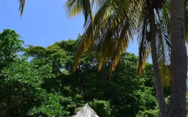 Wild Lotus Glamping