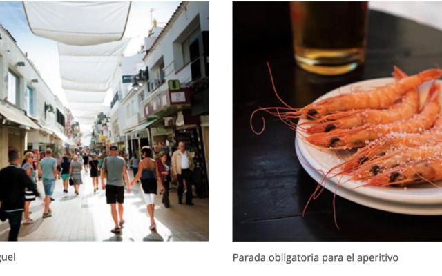 A Estrenar Preciosa Suite-Céntrico-Con Jardín y Porche