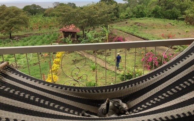 Finca Ometepe