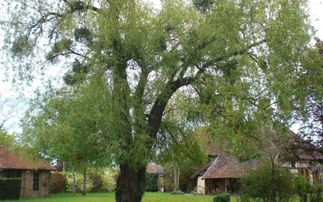 Gîte Lusigny-sur-Barse, 4 pièces, 6 personnes - FR-1-543-99