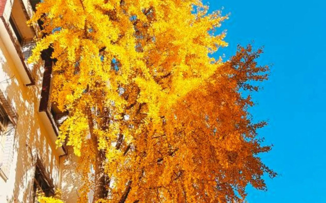 Wuxi Xu Xiake International Youth Hostel