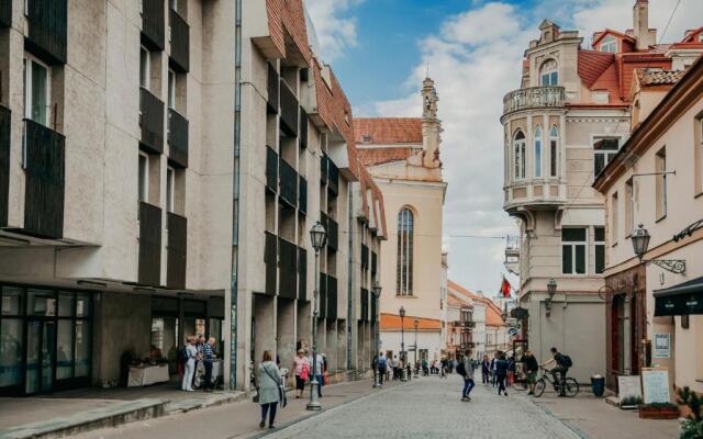 Spacious - 140 square meters Apartment, Vilnius City Centre