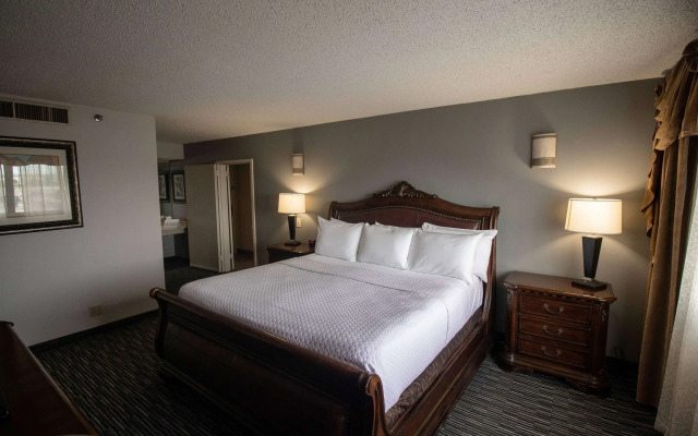 Wyndham Houston near NRG Park/Medical Center