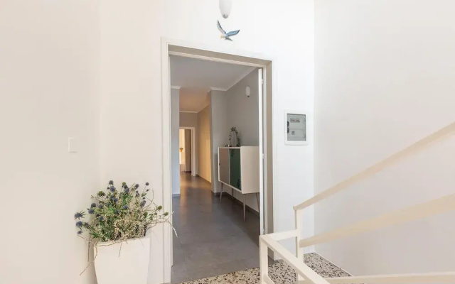 Albatro B&B