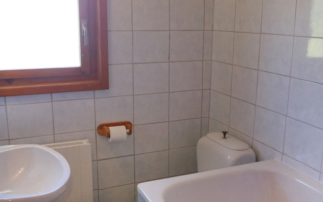 Bouleaux K4 Nendaz in Nendaz