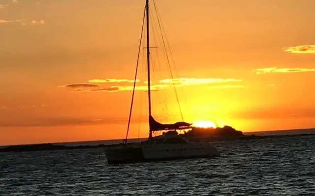 The White Sails