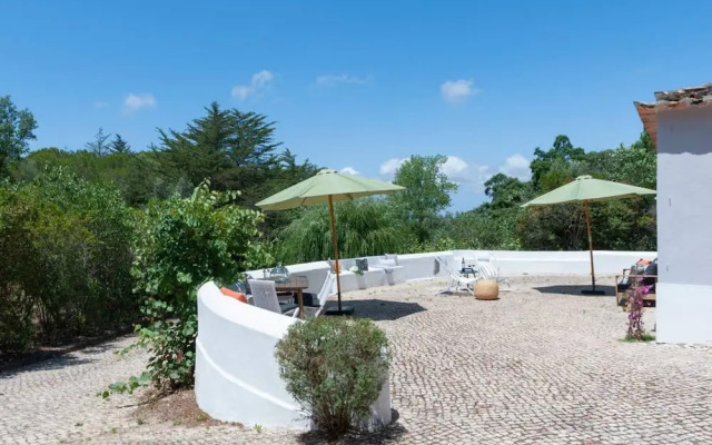 Pine Tree House in Azeit o