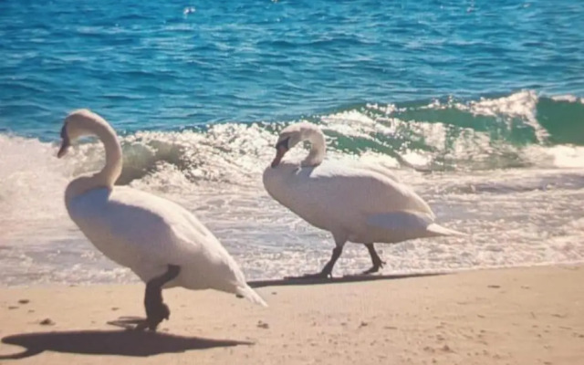 la maisonnette di anna