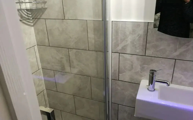 Blue Mackerel - Adults Only