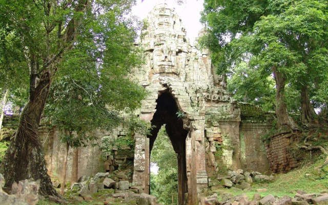 Tropical Breeze Guesthouse