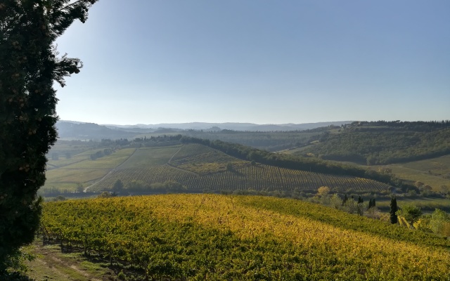 Poderi Arcangelo