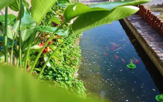 Nanjing Fengjingyuan Homestay