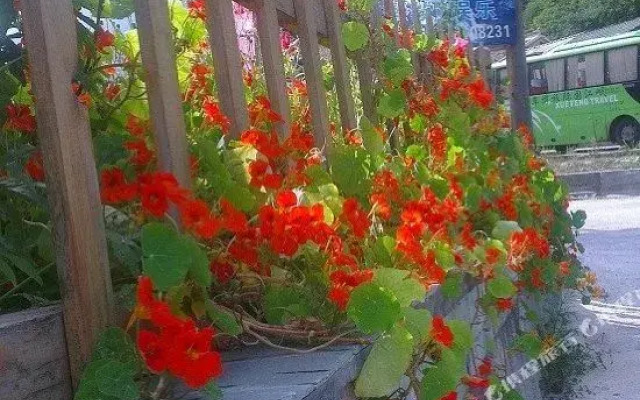 黄龙木楼雅居