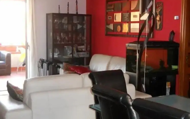 Olympus B&B