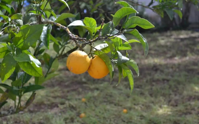 Villa La Veguetilla en San Mateo