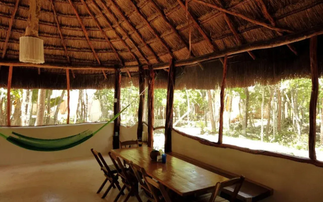 Room-unique Jungle Dome Ik