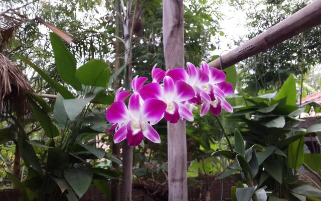 Malita Angkor Villa