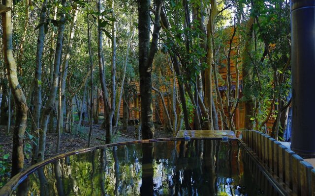 Cabanas Ensenada Bosque Nativo