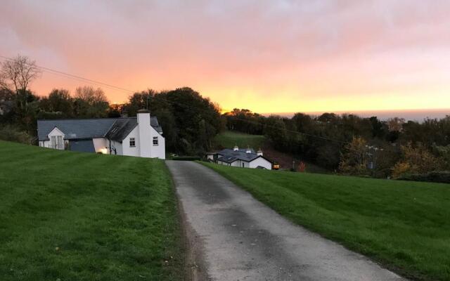 Bryn Goleu B&B