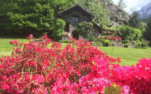 Casa Vacanze Le Primule