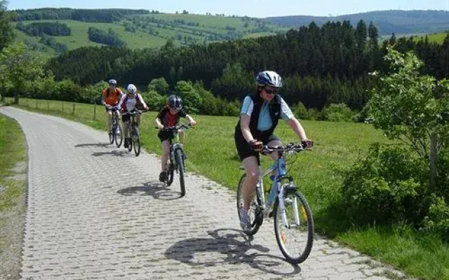 Ferienhaus Bergtraum Ferienwohnung Lilli