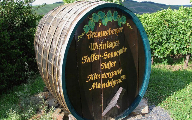 Pension und Weingut Moselblick