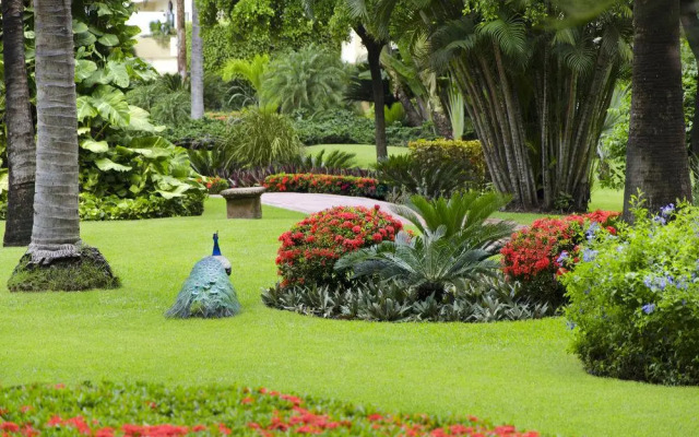 Family Luxury Suites by Velas Vallarta - All Inclusive