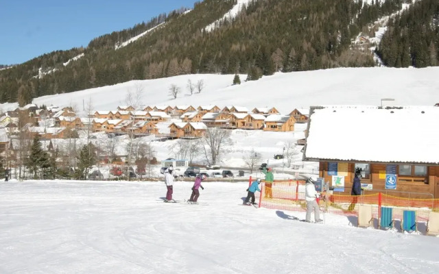 Wooden Chalet with Wellness Centre in Hohentauern