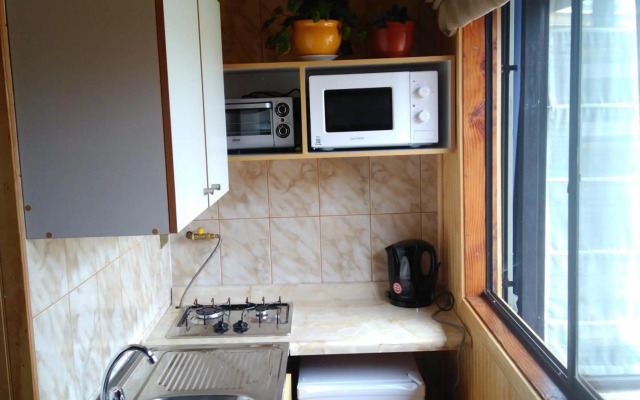 Departamentito Austral