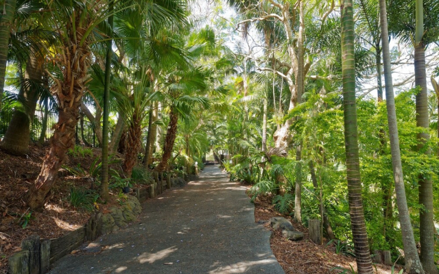 230 Scenic Drive