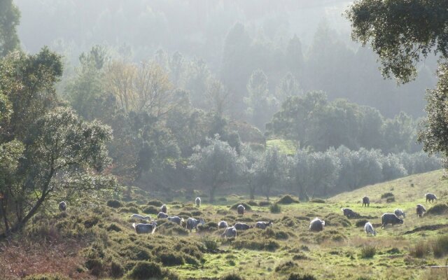 Vumba - The Gorongosa Suite