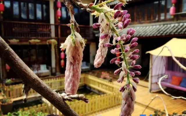 Floral Hotel·Sunshine Three Places,Cloud Sky Realm, Sunset Sunset View hotel – Outside – Lijiang