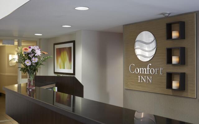 Comfort Inn Prince Albert