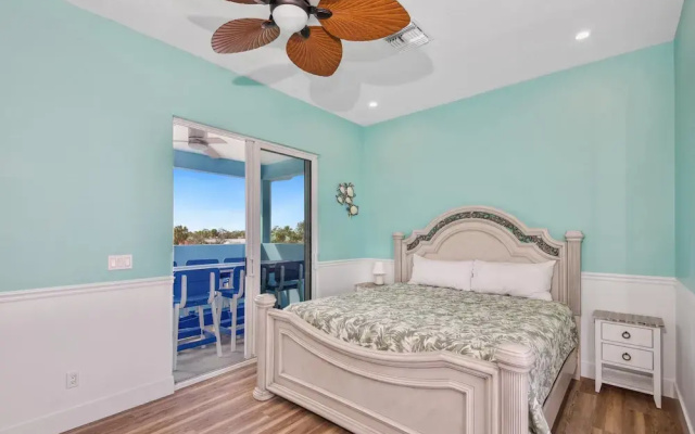 Blue Dolphin View