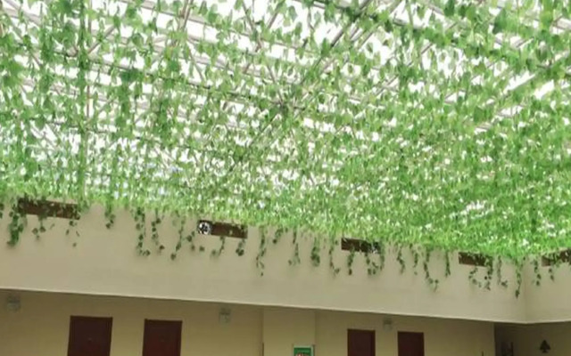 GreenTree Inn Bozhou Mengcheng Zhuangzi Road Express Hotel