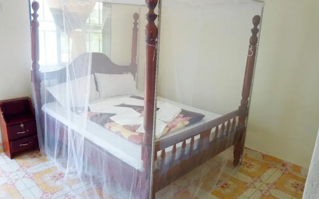Green Oasis Guest House and Tours