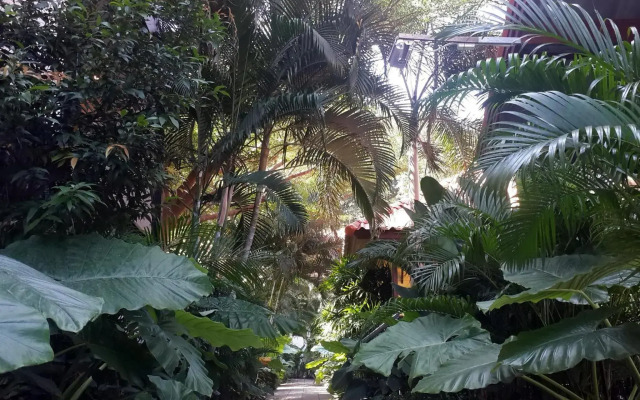 Ricci House Resort