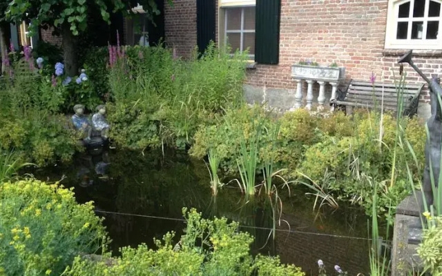 B & B de Vlinder