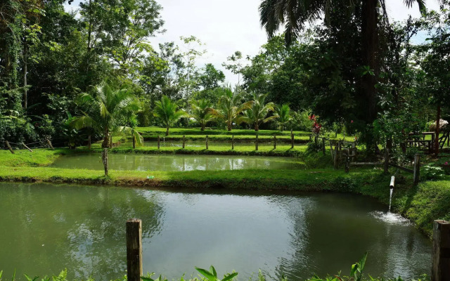 Rancho Las Tilapias