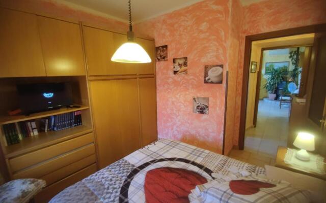 Mella house garden relax