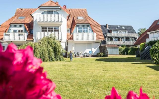 Alte Reihe 10 - Silbermöwe 3