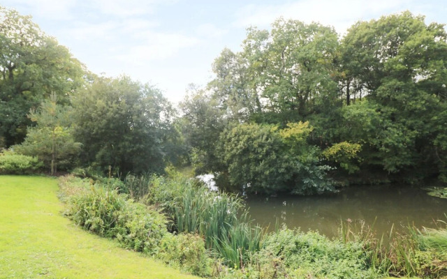 6 Streamside