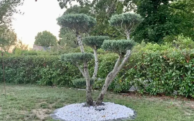 Chambre d'Hôtes Le Lagon