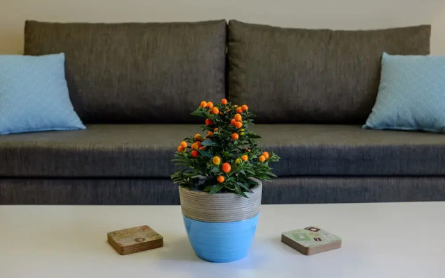 SOHO City Apartments