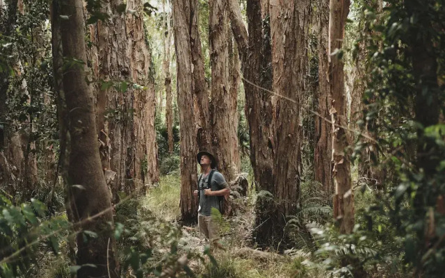 Habitat Noosa