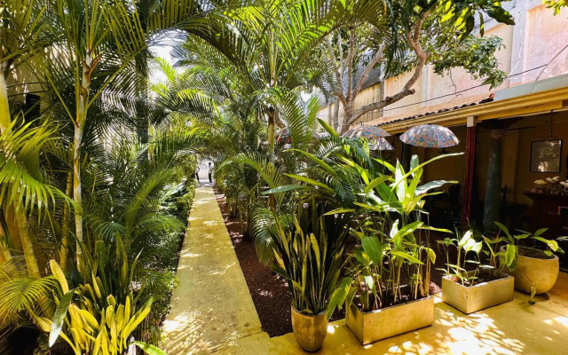 Mango House