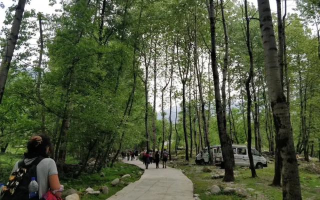 Madpackers Manali - Hostel