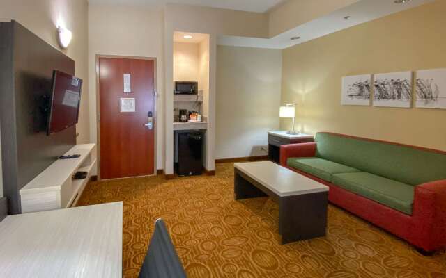 Sleep Inn & Suites Springdale West