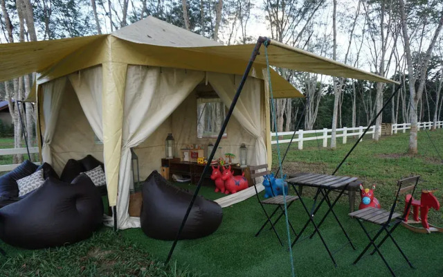 Singha Park Chiang Rai Camping
